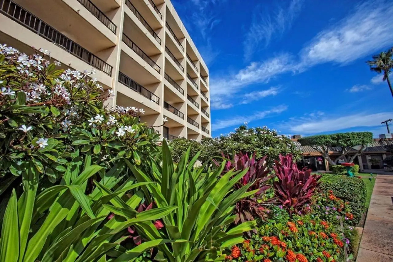 Sugar Beach 317 - Mch Kihei