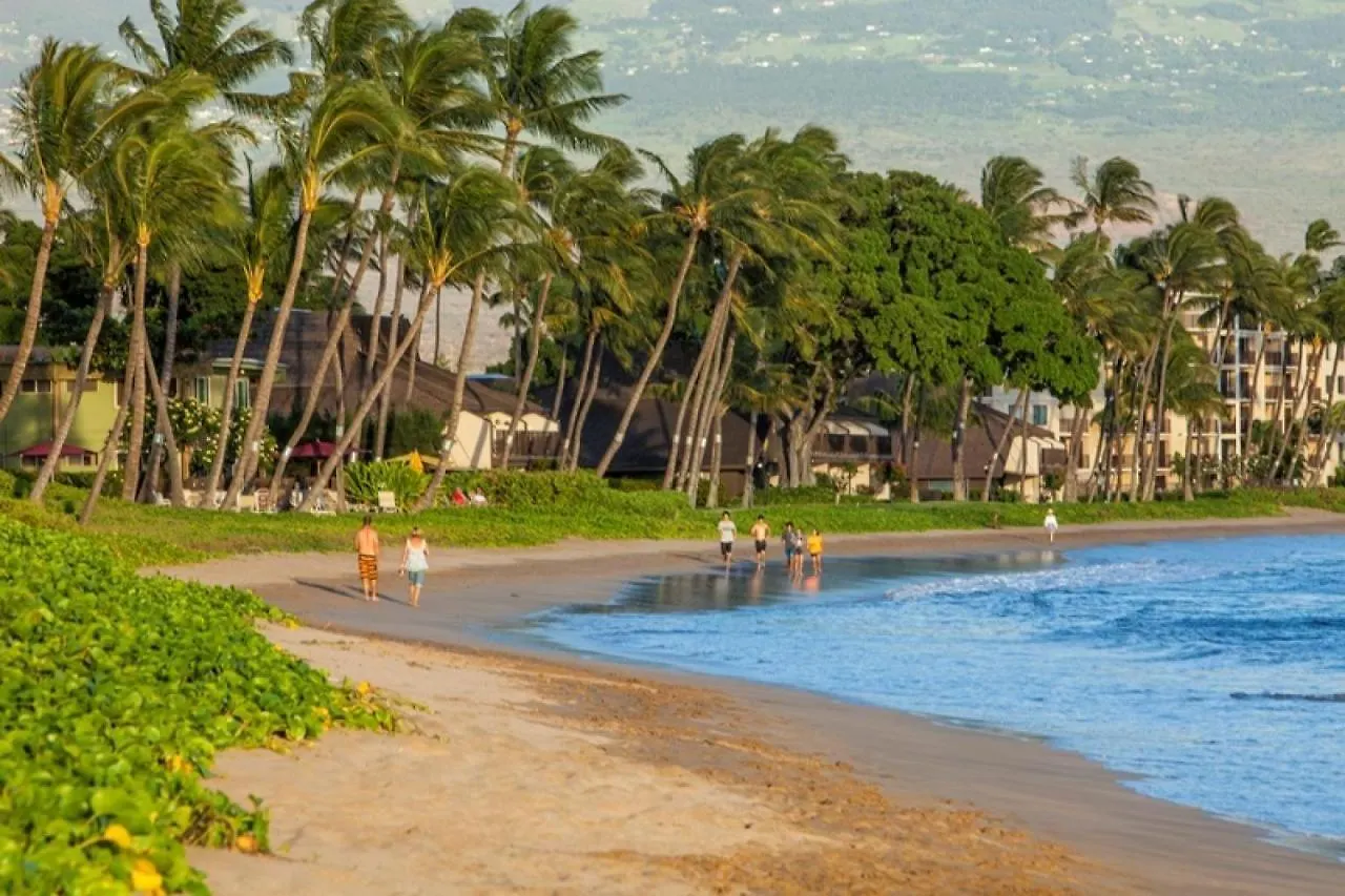 Sugar Beach 317 - Mch Kihei 0*,