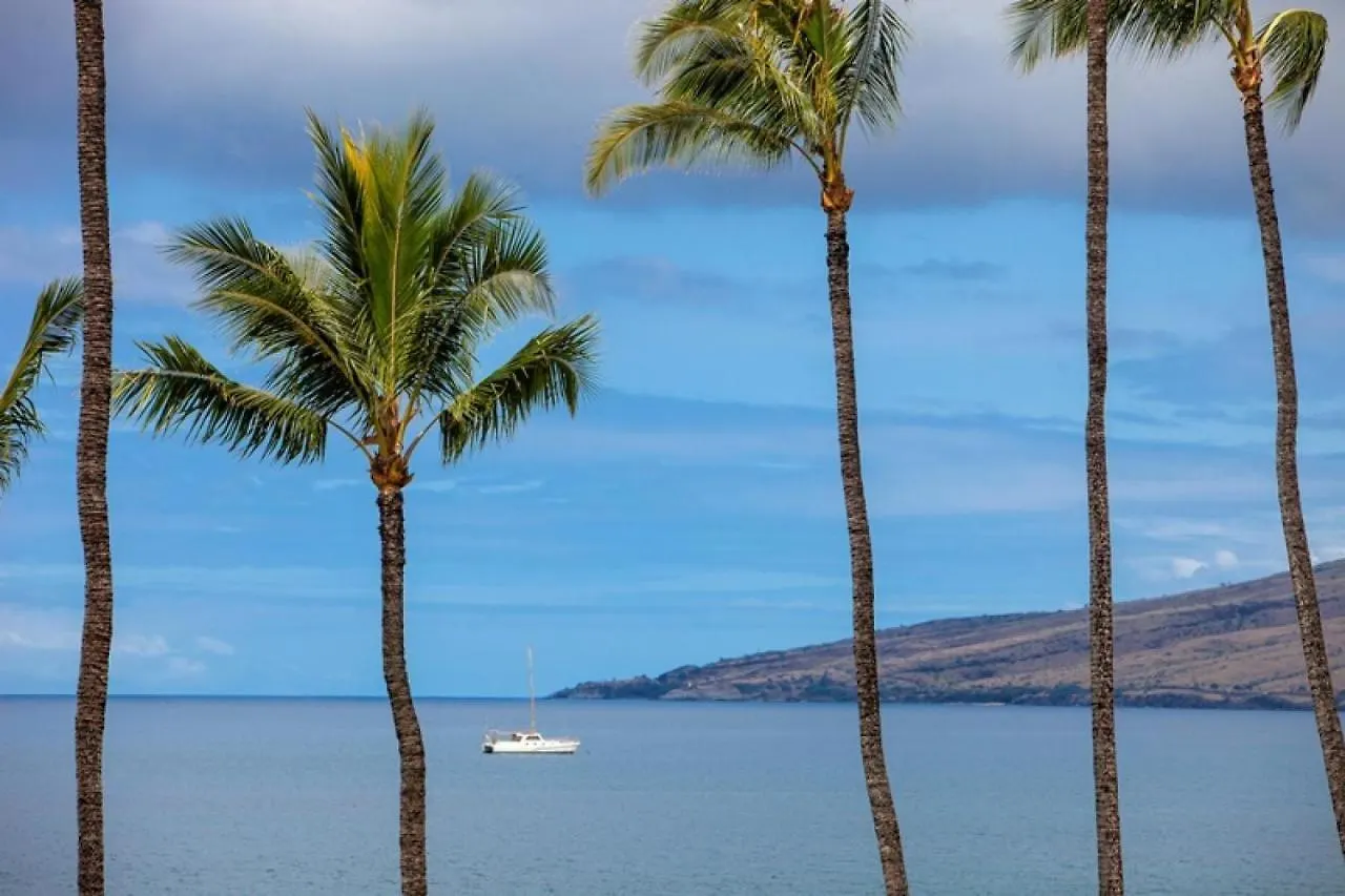 Sugar Beach 317 - Mch Kihei Holiday home